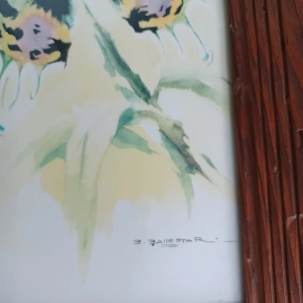 Vintage butterfly watercolor print 18.5x10.5 inches B. Ballester Litho wood